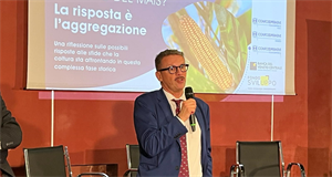 Mais, siglato il nuovo accordo quadro per il granturco da granella di filiera italiana certificata