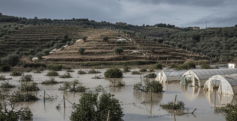 Sicilia, agricoltura devastata dal ciclone: le cooperative chiedono sostegno reale