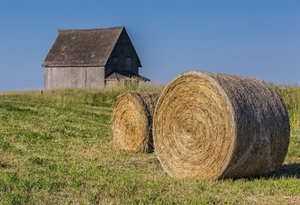 IMU, AGRINSIEME SOLLECITA IL GOVERNO A SOSPENDERE L’IMPOSTA