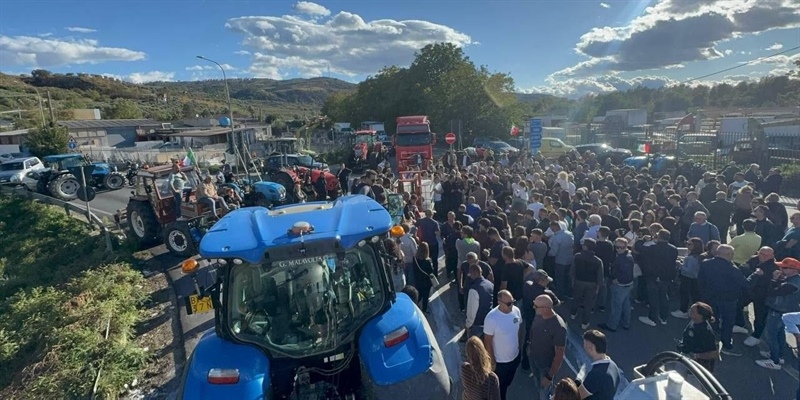 Blocco dei trasporti, Drei: “Agricoltori e autotrasportatori affrontano le stesse difficoltà. Comprendiamo il disagio degli autotrasportatori, ma si garantisca il transito dei prodotti deperibili”