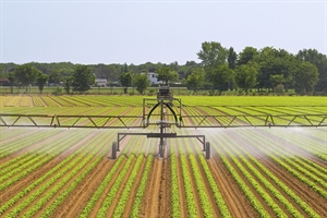 Pac, soddisfazione Agrinsieme per approvazione relazione Omnibus del Parlamento Ue