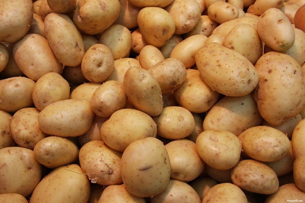 AGRICOLTURA, ALLEANZA COOPERATIVE, “NON SVENDIAMO LA PATATA ITALIANA”
