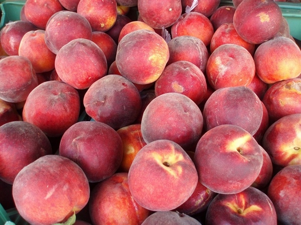 UN CHILO DI PESCHE PAGATO SOLO 20 CENTS AL PRODUTTORE. RIUNIONE OGGI AL MIPAAF SULLA CRISI FRUTTA ESTIVA