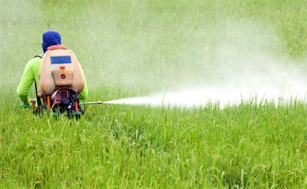 Glifosato, per Agrinsieme le decisioni su uso si fondino su scienza