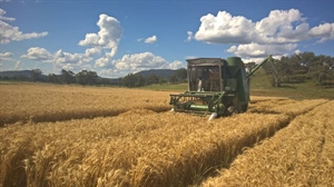 AGRICOLTURA, ALLEANZA COOPERATIVE: URGENTE CALENDARIZZARE IL DDL SUL BIOLOGICO