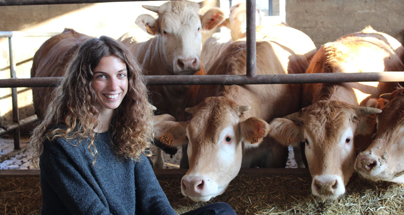 Bruxelles cambia passo sulla zootecnia, Confcooperative: “Riconosciuto il valore strategico degli allevamenti”