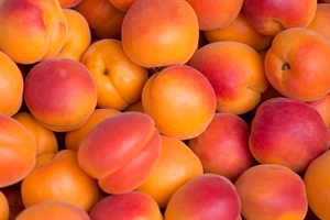 FRUTTA SPAGNOLA IN SCUOLE EMILIA ROMAGNA, VERNOCCHI: “IMBARAZZO E SCONCERTO, LE IMPRESE TUTELINO I PRODOTTI ITALIANI”