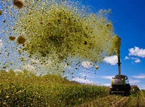 "LE TECNICHE DI MIGLIORAMENTO GENETICO FONDAMENTALI PER AGRICOLTURA DEL FUTURO”