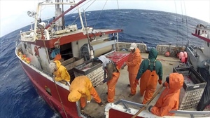 Alleanza pesca: bene Manzato su difesa del lavoro dei nostri pescatori