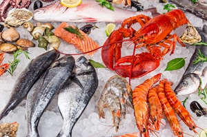 Manifestazione fieristica SEAFOOD 2019