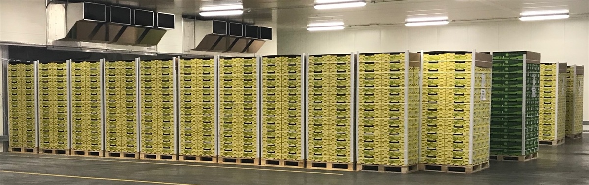 Dazi Usa: a rischio l’export agroalimentare Fvg