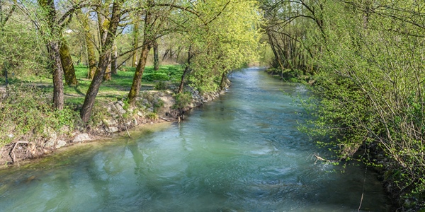 Pesca: Alleanza Cooperative, bene lotta bracconaggio ma proposta di legge va cambiata