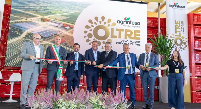 Agrintesa guarda “OLTRE”: a Castel Bolognese il polo europeo del kiwi. Investimento da 25 milioni tra innovazione, digitalizzazione, e sostenibilità