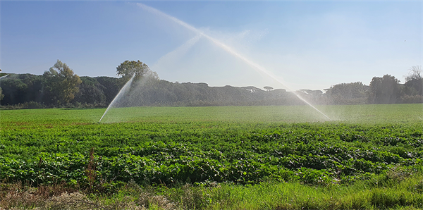 Siglato il rinnovo del contratto delle cooperative alimentari