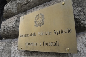 Alleanza Cooperative scrive a Patuanelli per chiedere di trasformare Mipaaf in Map La cooperazione chiede maggiore centralità per il settore