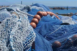 Pesca: con norme Ue taglia giorni in mare, -20% fatturato. A rischio 8 imprese su 10. L’Allarme lanciato nel corso del webinar organizzato dall’Alleanza delle Cooperative