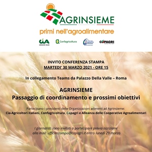 AGRINSIEME Passaggio di coordinamento e prossimi obiettivi