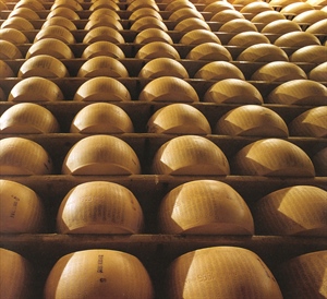 Parmigiano Reggiano: L’Assemblea approva il bilancio consuntivo 2020 e ratifica il nuovo Consiglio di Amministrazione