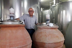 Olio, Baragli (Fedagripesca Toscana): “Produzione in calo del 50%, ma qualità ottima”
