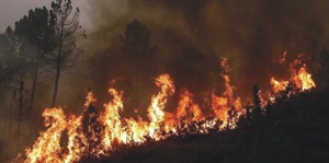 Incendi, Fedagripesca Toscana: “Subito un piano salva boschi”
