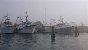 C’e un Mare Dietro  Dal mare alla tavola, l’impegno dei pescatori italiani per un prodotto sempre più fresco, buono, tracciato e sostenibile.