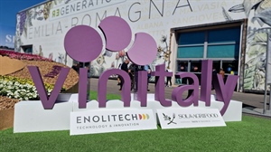 Vinitaly, export di vino negli Stati Uniti (+8,3%). La metà delle vendite nel mercato USA viene dalle cooperative