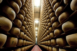 PARMIGIANO REGGIANO: PROSEGUE IL BOOM DELL'EXPORT: +10,1%  IN GENNAIO-FEBBRAIO 2015