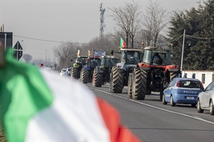 Proteste agricoltori, Piccinini: “Puntare a nuova politica agricola più orientata al mercato per...