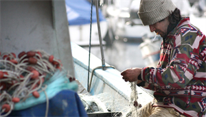 Pesca, Fedagripesca: 7 pescatori su 10 scelgono mestiere...