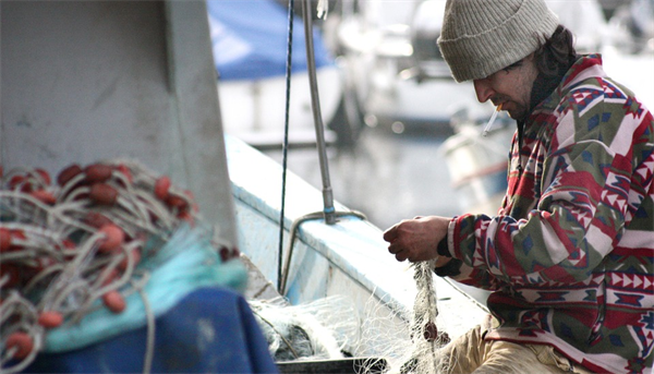 Pesca, Fedagripesca: 7 pescatori su 10 scelgono mestiere per tradizione di famiglia, ma il 40% non prosegue attività