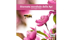 GIORNATA MONDIALE DELLE API, TERRIACA (CONFCOOPERATIVE), “SERVE UN PATTO CON I CONSUMATORI, LE LORO SCELTE DETERMINANTI PER IL FUTURO DEL SETTORE”
