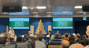 LE FORESTE ITALIANE ASSORBONO 46 MILIONI DI TONNELLATE DI CO2, TRE VOLTE E MEZZO LE EMISSIONI DI MILANO E PROVINCIA