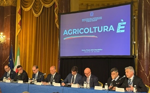 DAZI, DREI: “LA NUOVA PAC PUNTI SULL’AGGREGAZIONE FAVORENDO LE CONDIZIONI PER RISPONDERE AI NUOVI SCENARI INTERNAZIONALI”