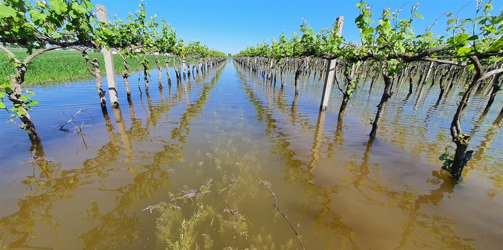 DL ALLUVIONE, CONFCOOPERATIVE «PROVVEDIMENTO GIUSTO CHE DÀ RESPIRO ALLE...