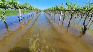 DL ALLUVIONE, CONFCOOPERATIVE «PROVVEDIMENTO GIUSTO CHE DÀ RESPIRO ALLE IMPRESE COLPITE. GRAZIE...