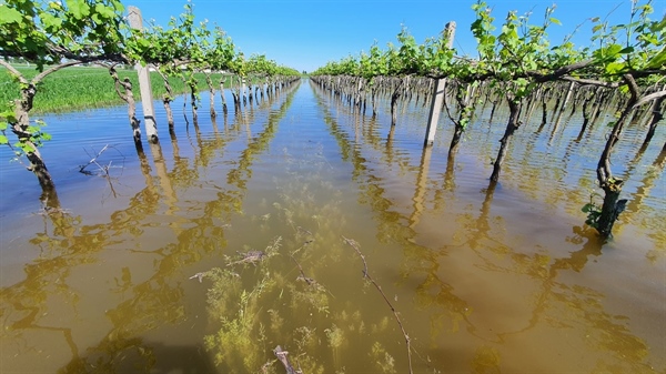 DL ALLUVIONE, CONFCOOPERATIVE «PROVVEDIMENTO GIUSTO CHE DÀ RESPIRO ALLE IMPRESE COLPITE. GRAZIE AL GOVERNO CHE HA ASCOLTATO LE NOSTRE RICHIESTE»