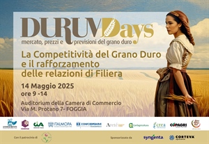 GRANO, IL 14 MAGGIO A FOGGIA TORNANO I DURUM DAYS, CONFRONTO SUL RILANCIO DELLA FILIERA E PRIME...
