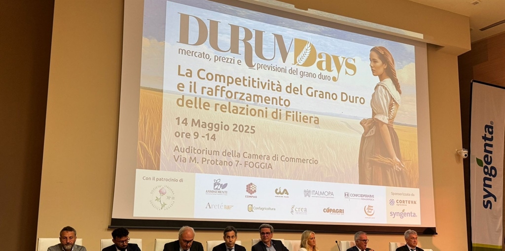 GRANO, PRODUZIONE NAZIONALE PREVISTA IN CRESCITA (+20%), MA RESTA...
