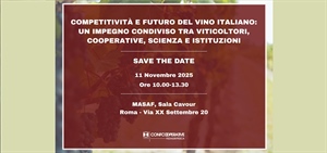 Competitività e Futuro del vino italiano: un impegno condiviso tra viticoltori, cooperative,...