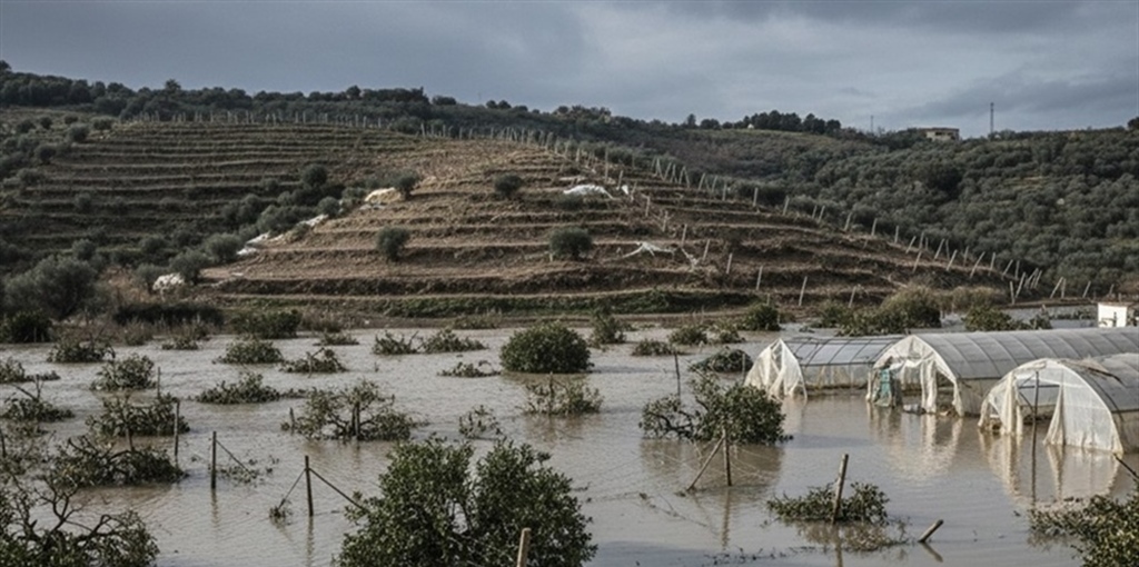 Sicilia, agricoltura devastata dal ciclone: le cooperative chiedono...
