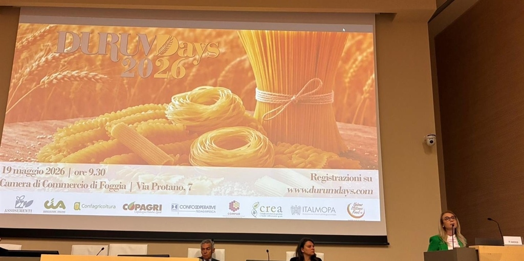 Grano duro, nel 2026 produzione nazionale si attesta su 3,8 mln di...