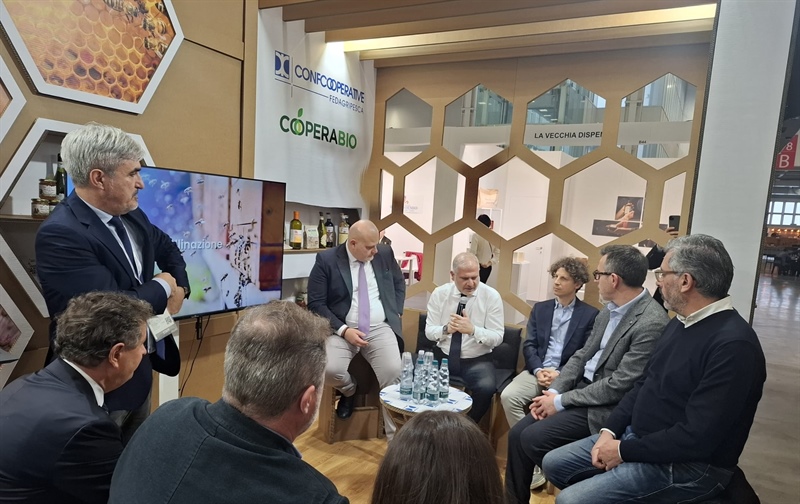 BIOLOGICO, CRESCE IL FATTURATO DELLE COOPERATIVE (+3,8%), IL VINO È IL PRODOTTO PIÙ VENDUTO