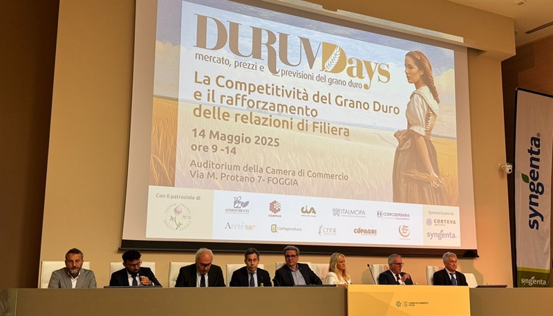 GRANO, PRODUZIONE NAZIONALE PREVISTA IN CRESCITA (+20%), MA RESTA INCOGNITA METEO. IN LEGGERO CALO LE STIME SUI RACCOLTI MONDIALI