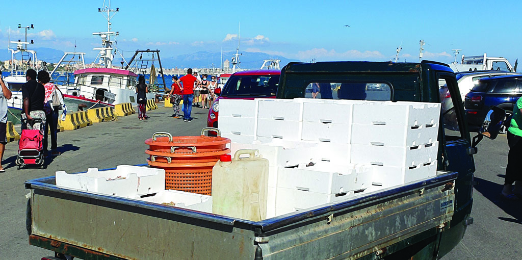 Pesca, Alleanza Cooperative chiede proroga termine domande di indennità giornaliere