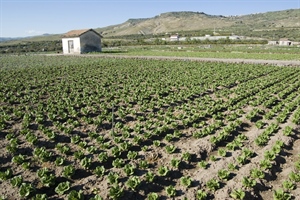 FIDUCIA A DL ENTI LOCALI, POSTICIPATO PAGAMENTO PRIMA RATA IMPOSTA SUI TERRENI AGRICOLI