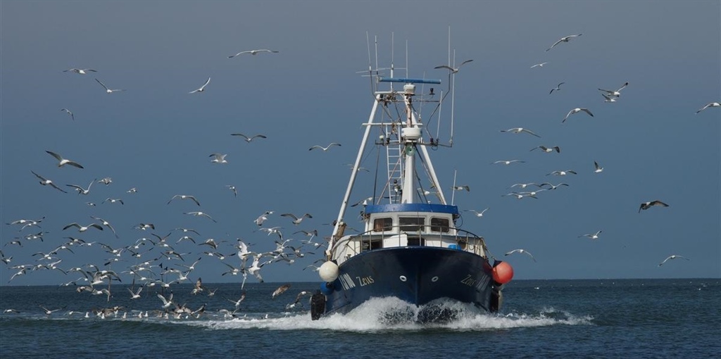 DDL sanzioni pesca in Senato, Fedagripesca: “Riequilibrio e...